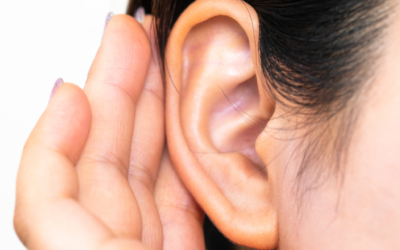 La solución definitiva a las denominadas “orejas de soplillo”