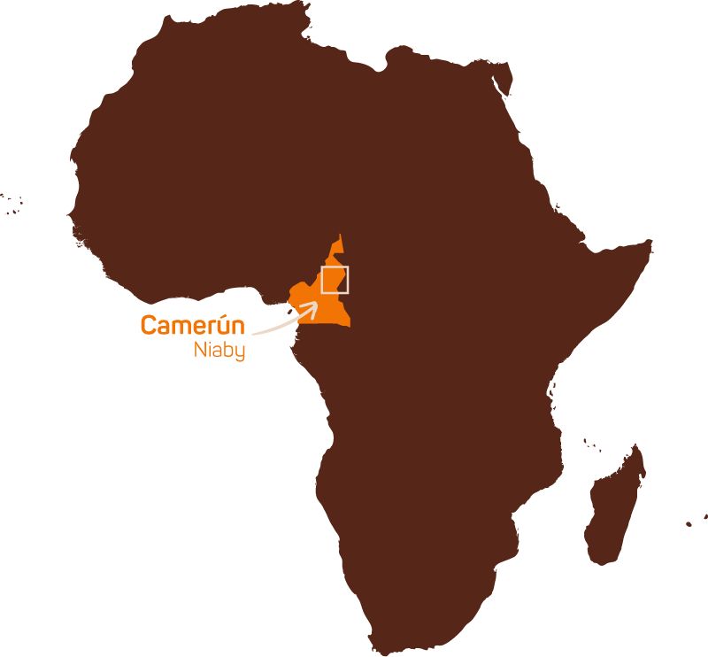 camerun-niaby